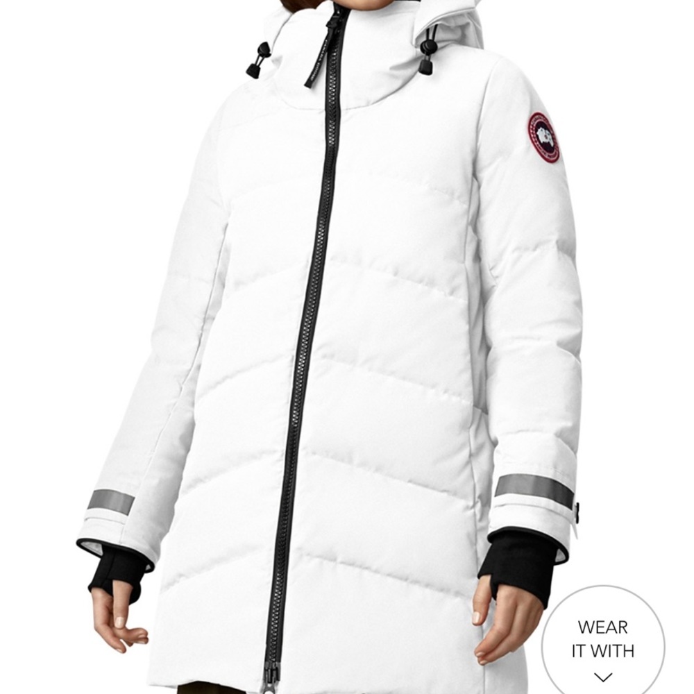 Canada goose